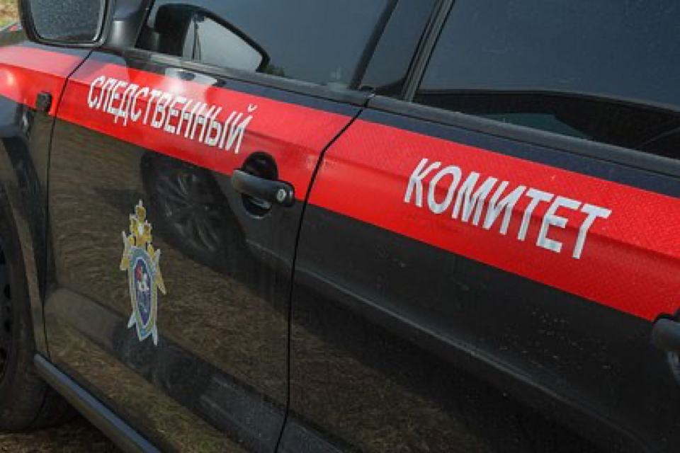 Source-supplied image for: Россиянка похитила маленького ребенка и следила за его поисками